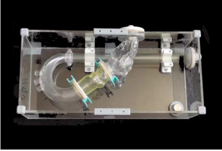 定制式手術模擬器——結構性心臟病手術模擬器